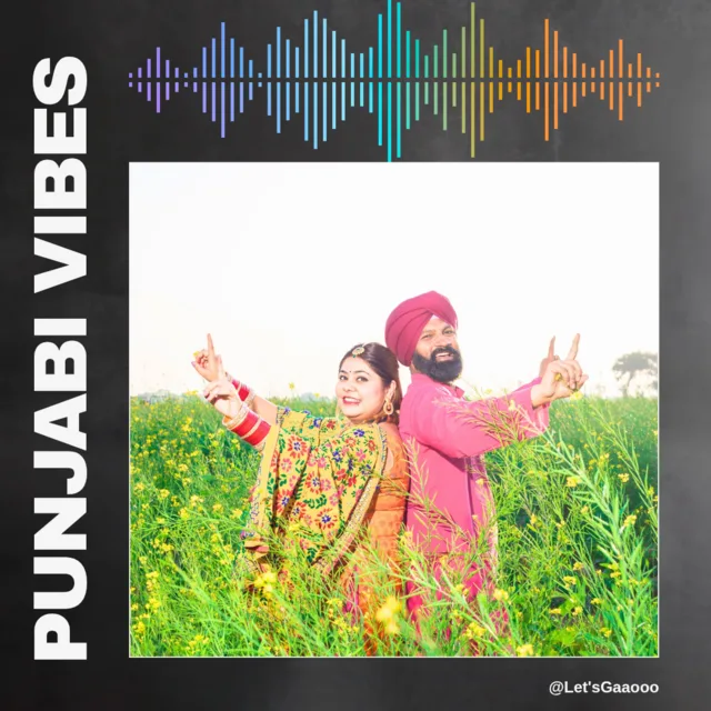 Punjabi Vibes playlist cover